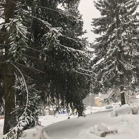 Julie 1 Apartman Svoboda nad Úpou Kültér fotó