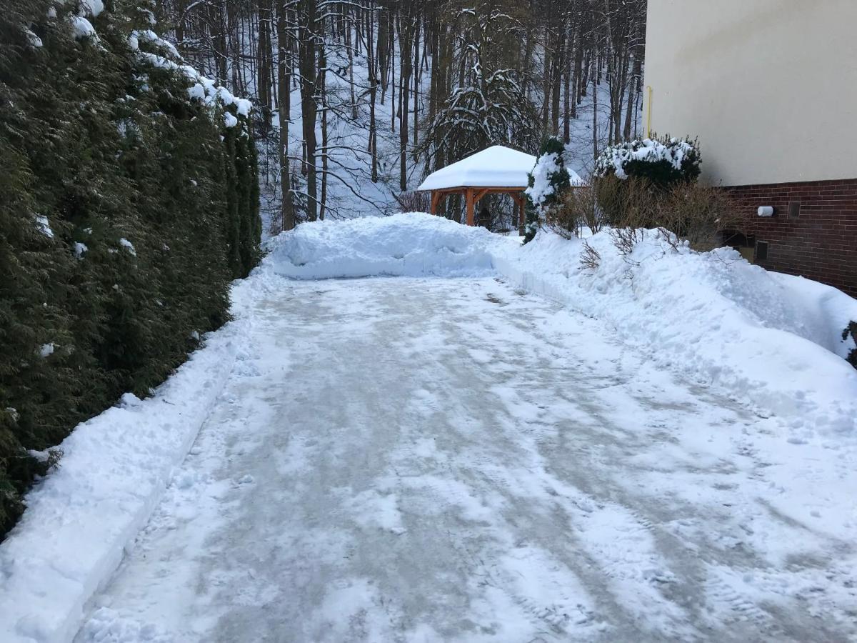 Julie 1 Apartman Svoboda nad Úpou Kültér fotó
